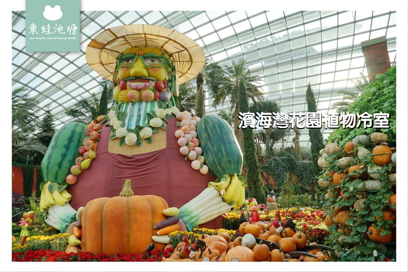 【新加坡必訪景點推薦】濱海灣花園植物冷室:Cloud Forest 雲霧林、Flower Dome 花穹 【新加坡必訪景點推薦】濱海灣花園植物冷室:Cloud Forest 雲霧林、Flower Dome 花穹