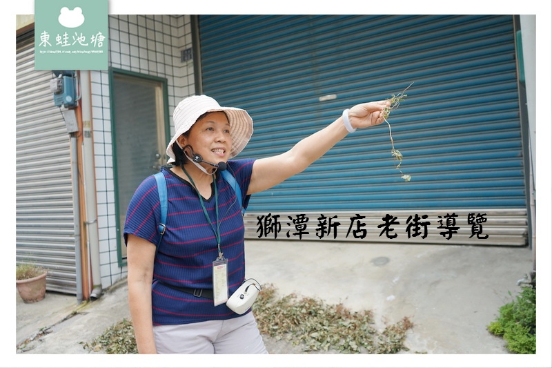 【苗栗獅潭新店老街導覽】卡通彩繪神秘小徑 百年拔牙龍眼樹 【苗栗獅潭新店老街導覽】卡通彩繪神秘小徑 百年拔牙龍眼樹