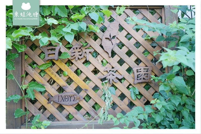 【苗栗頭份採茶趣】有機茶特等金牌獎 一心二葉東方美人茶 日新茶園 【苗栗頭份採茶趣】有機茶特等金牌獎 一心二葉東方美人茶 日新茶園