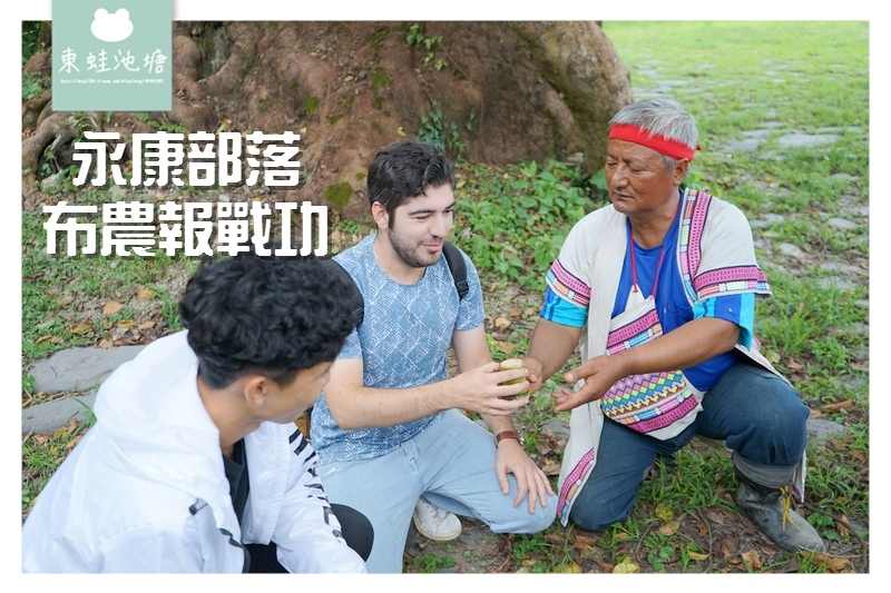 【台東一日遊行程推薦】縱谷原遊會 餐桌上的部落旅行 永康部落 布農八部合音/報戰功/薑黃糯米搗麻糬體驗 【台東一日遊行程推薦】縱谷原遊會 餐桌上的部落旅行 永康部落 布農八部合音/報戰功/薑黃糯米搗麻糬體驗