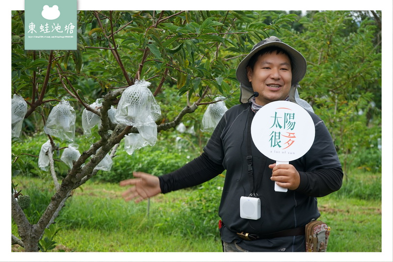 【台東釋迦推薦】2020東京奧運選手級的食品標準 太陽很多釋迦果園 【台東釋迦推薦】2020東京奧運選手級的食品標準 太陽很多釋迦果園