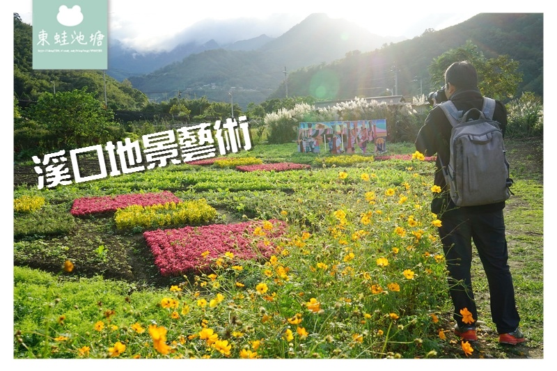 【桃園復興賞花趣】泰雅族菱形紋花園 薰衣草花海 溪口地景藝術 【桃園復興賞花趣】泰雅族菱形紋花園 薰衣草花海 溪口地景藝術