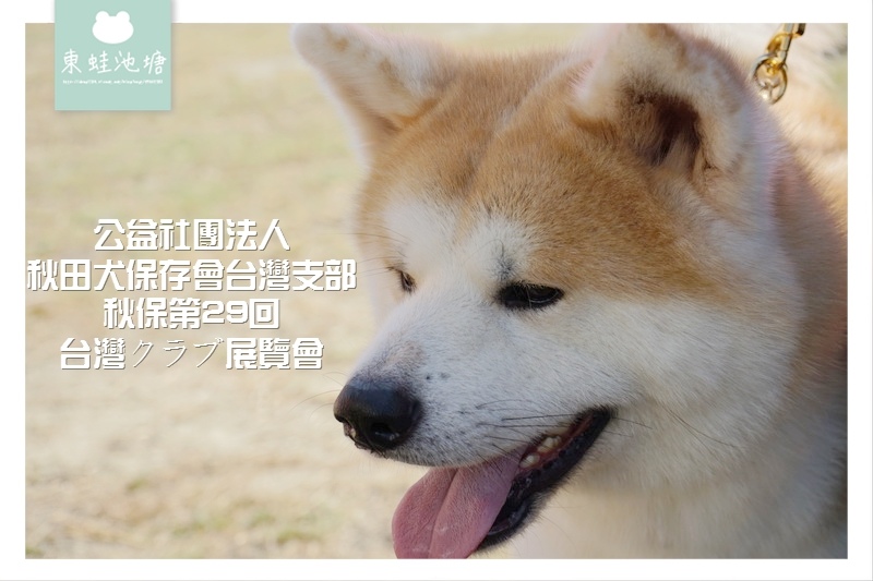 【公益社團法人 秋田犬保存會台灣支部】秋保第29回 台灣クラブ展覽會 【公益社團法人 秋田犬保存會台灣支部】秋保第29回 台灣クラブ展覽會