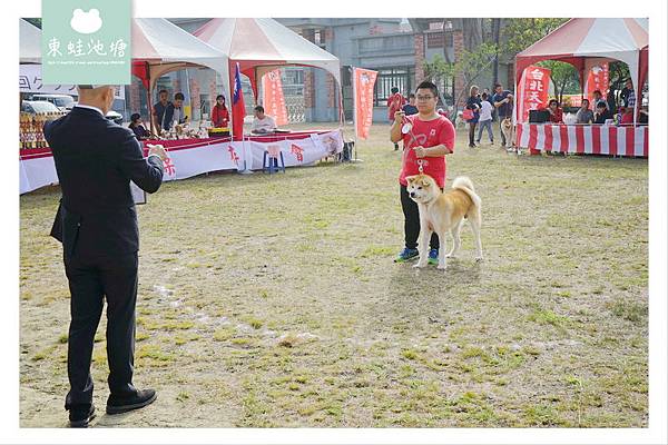 【公益社團法人 秋田犬保存會台灣支部】秋保第29回 台灣クラブ展覽會