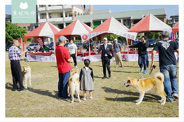 【公益社團法人 秋田犬保存會台灣支部】秋保第29回 台灣クラブ展覽會