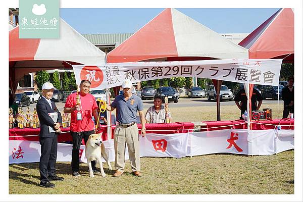 【公益社團法人 秋田犬保存會台灣支部】秋保第29回 台灣クラブ展覽會