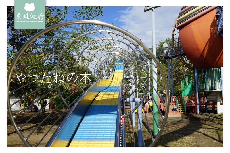 【大阪溜滑梯推薦】大阪親子景點 大人小孩都好玩 やったねの木 萬博紀念公園 【大阪溜滑梯推薦】大阪親子景點 大人小孩都好玩 やったねの木 萬博紀念公園