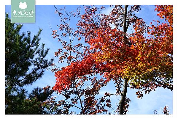 【京都景點推薦】世界文化遺產 古都京都的文化財 鹿苑寺 金閣寺