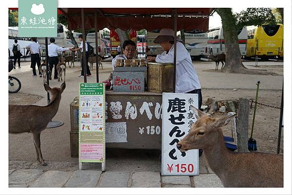 【奈良行程規劃推薦】奈良餵鹿趣 5大餵鹿守則 150日元鹿仙貝