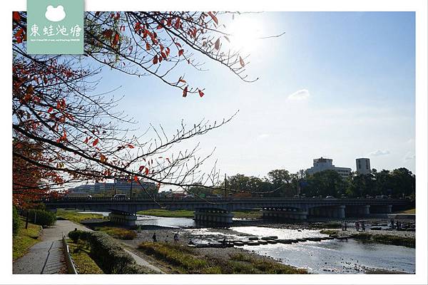 【京都免費景點推薦】京都夏天親子玩水行程 鴨川跳烏龜