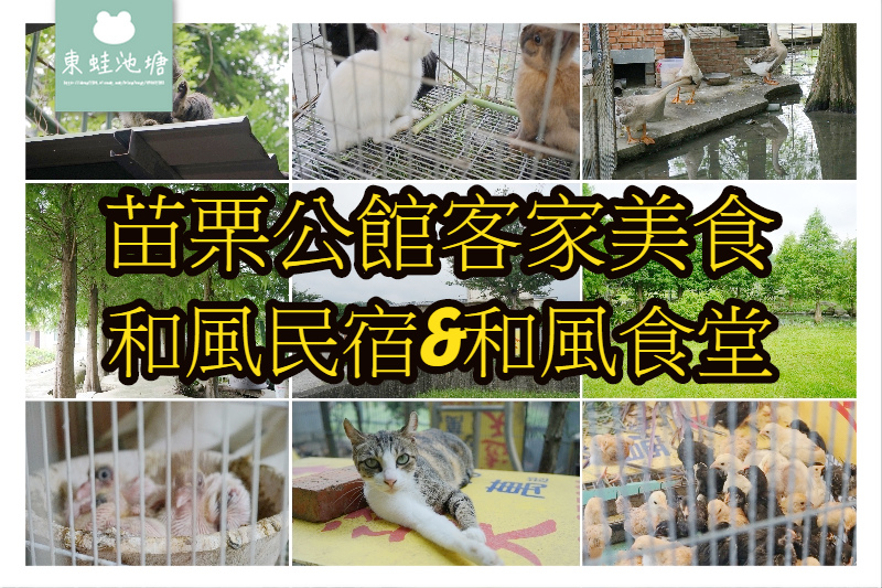 【苗栗公館客家美食推薦】可愛動物區 超美落羽松 親子同遊好選擇 和風民宿&和風食堂 【苗栗公館客家美食推薦】可愛動物區 超美落羽松 親子同遊好選擇 和風民宿&和風食堂