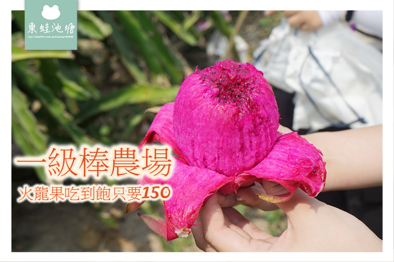 【桃園溪海半日遊行程推薦】親子採果樂體驗 火龍果吃到飽 一級棒農場 【桃園溪海半日遊行程推薦】親子採果樂體驗 火龍果吃到飽 一級棒農場
