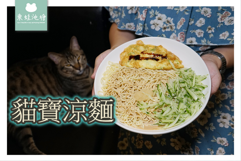 【內壢涼麵推薦】元智大學宵夜好選擇 大份量涼麵滷肉飯 貓寶涼麵 【內壢涼麵推薦】元智大學宵夜好選擇 大份量涼麵滷肉飯 貓寶涼麵