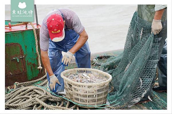 【溫州洞頭出海捕魚體驗行程】體驗漁民捕魚生活 新鮮加菜超美味