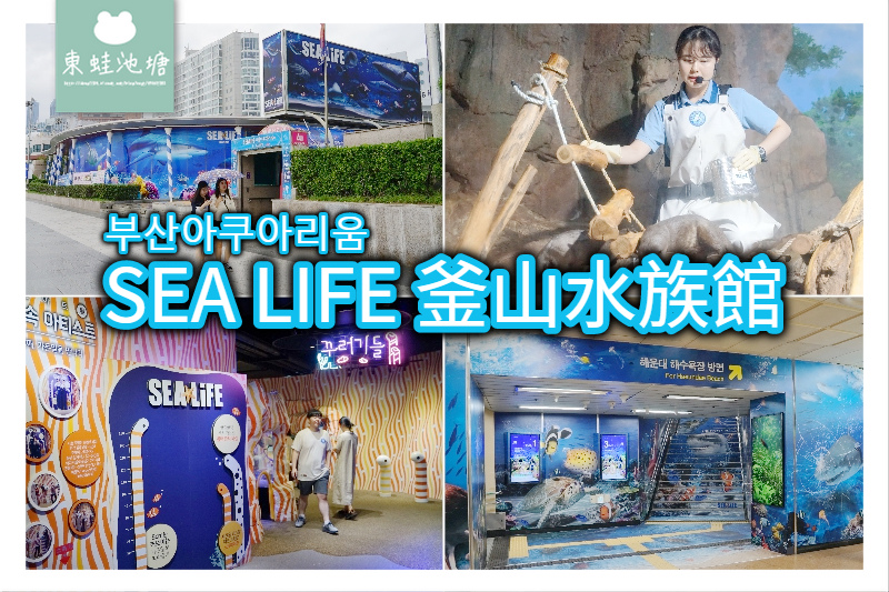 【釜山海雲台景點推薦】釜山親子室內景點好選擇 SEA LIFE 釜山水族館 부산아쿠아리움 【釜山海雲台景點推薦】釜山親子室內景點好選擇 SEA LIFE 釜山水族館 부산아쿠아리움