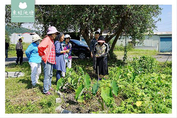 【內城樂齡健檢旅遊】不老學校鐵牛力阿卡 里山農場農耕體驗窯烤披薩