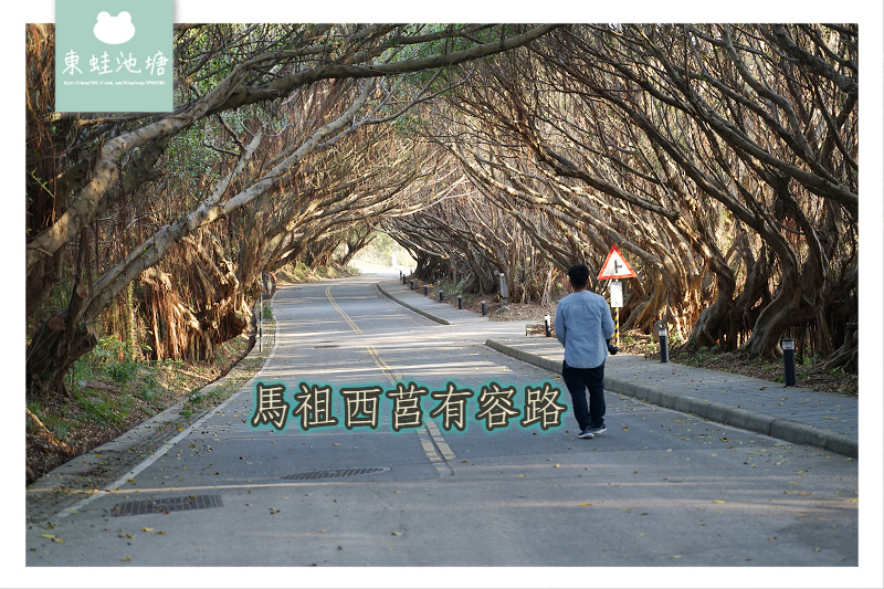 【馬祖西莒免費景點推薦】西莒IG拍照打卡 西坵綠色隧道有容路 【馬祖西莒免費景點推薦】西莒IG拍照打卡 西坵綠色隧道有容路