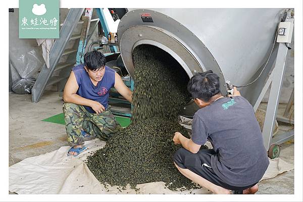 【阿里山西北廊道行程景點推薦】瑞里王鼎茶園 手作女兒紅藏茶體驗