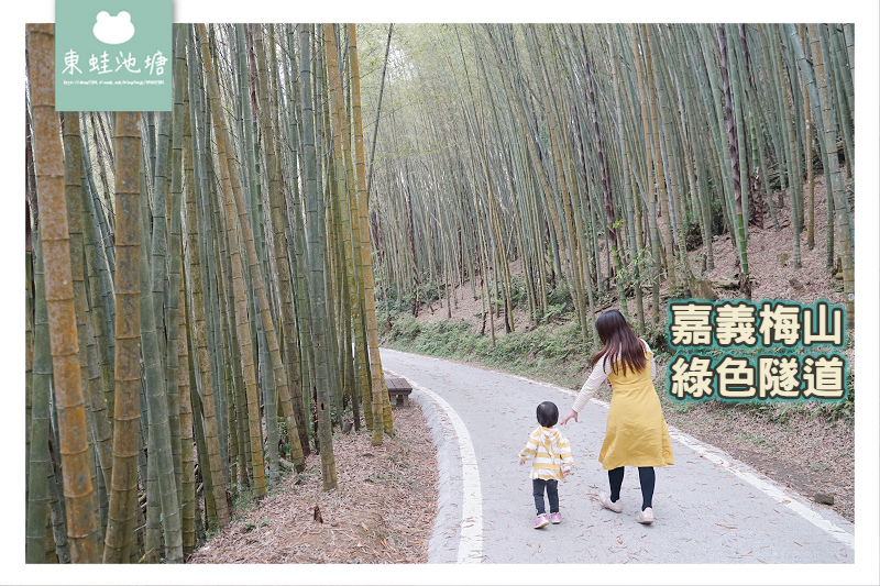 【嘉義梅山免費景點推薦】台灣版京都嵐山竹林小徑 瑞里綠色隧道 【嘉義梅山免費景點推薦】台灣版京都嵐山竹林小徑 瑞里綠色隧道