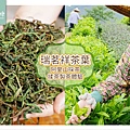 【嘉義梅山行程景點推薦】阿里山採茶揉茶製茶品茶體驗 瑞茗祥茶葉