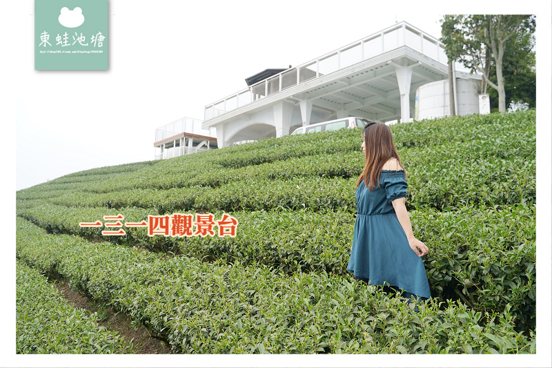 【嘉義梅山免費景點推薦】御茶園廣告拍攝地點 360度視野零死角 觀賞阿里山日出 海鼠山1314觀景台 【嘉義梅山免費景點推薦】御茶園廣告拍攝地點 360度視野零死角 觀賞阿里山日出 海鼠山1314觀景台