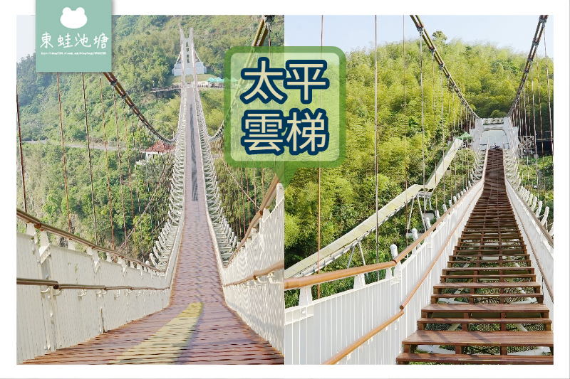 【嘉義阿里山景點推薦】海拔最高景觀吊橋 穿梭雲海故鄉 太平雲梯 【嘉義阿里山景點推薦】海拔最高景觀吊橋 穿梭雲海故鄉 太平雲梯