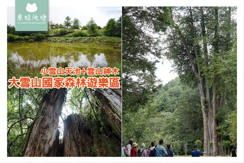 【台中一日遊景點推薦】絕美小雪山天池+雪山神木 大雪山國家森林遊樂區 【台中一日遊景點推薦】絕美小雪山天池+雪山神木 大雪山國家森林遊樂區