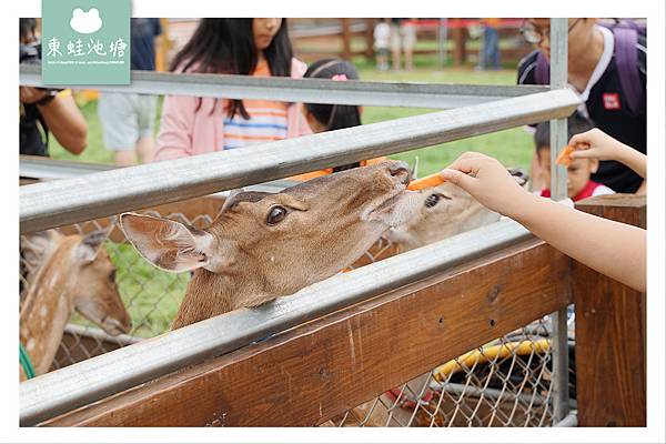 【桃園親子景點推薦】可愛動物暖暮萌萌村 網美拍照好去處 楊梅埔心牧場