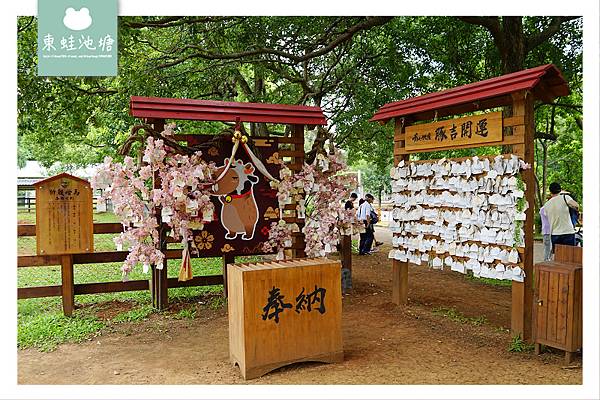 【桃園親子景點推薦】可愛動物暖暮萌萌村 網美拍照好去處 楊梅埔心牧場