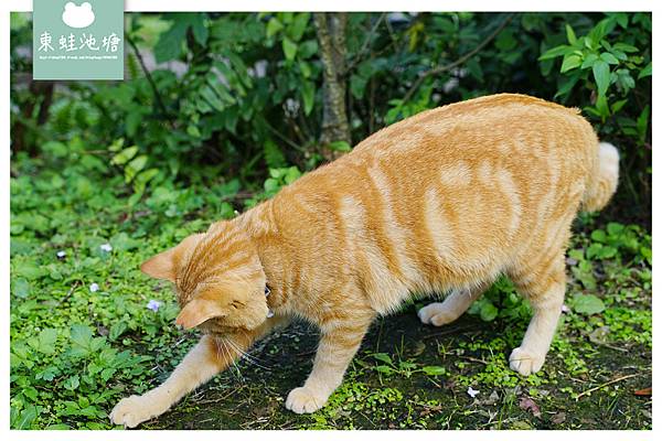 【瑞芳猴硐免費景點】瑞三選煤廠倉庫 文史展示空間 願景館