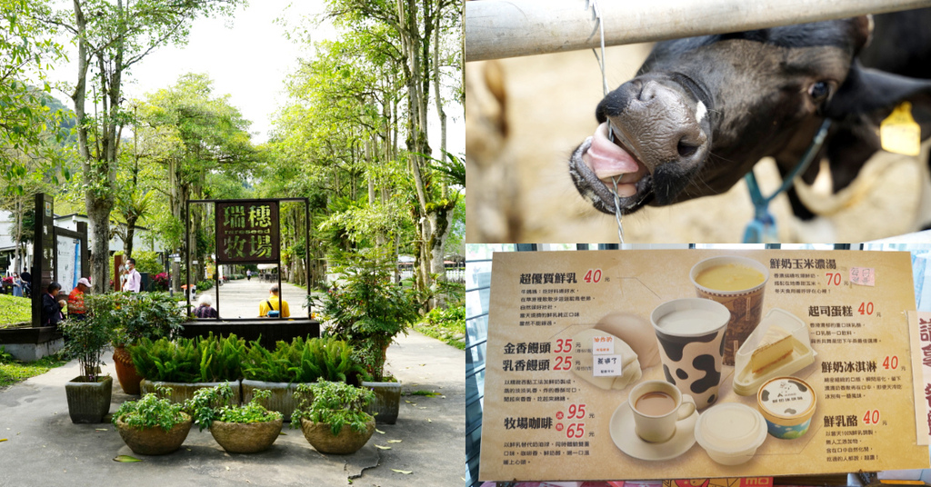 【花蓮瑞穗免費景點推薦】瑞穗下午茶好選擇 可愛乳牛/鴕鳥開放牧場 瑞穗牧場 【花蓮瑞穗免費景點推薦】瑞穗下午茶好選擇 可愛乳牛/鴕鳥開放牧場 瑞穗牧場