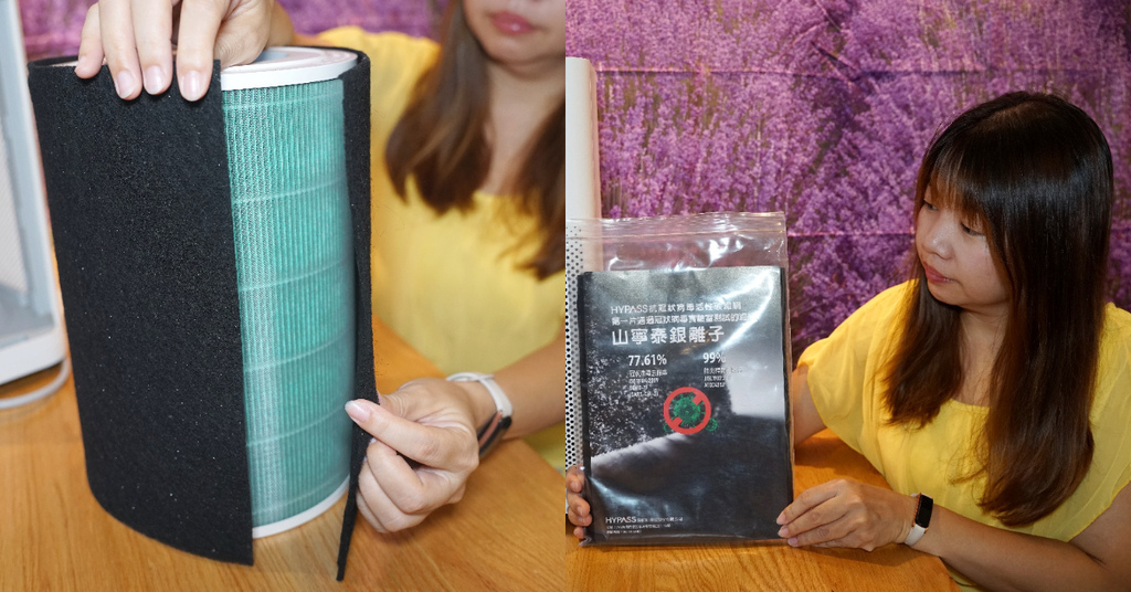 【家用清淨機替換濾網推薦】HYPASS 山寧泰銀離子抗冠狀病毒濾網 可拆式濾網防護立即升級