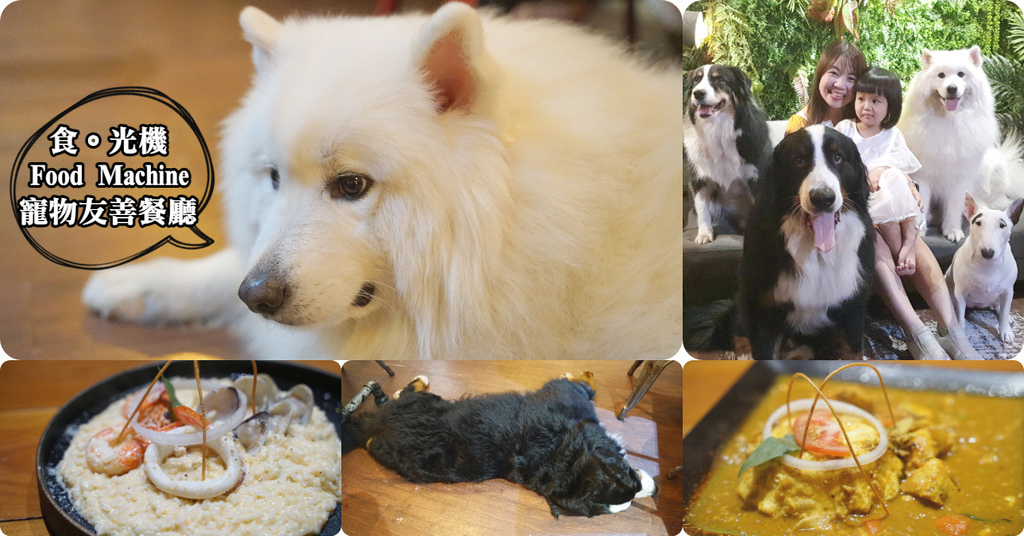 【內壢寵物餐廳推薦】大狗狗店長(伯恩山犬+邊境牧羊犬+薩摩耶犬) 美味燉飯咖哩飯 食。光機 Food Machine (寵物友善餐廳) 【內壢寵物餐廳推薦】大狗狗店長(伯恩山犬+邊境牧羊犬+薩摩耶犬) 美味燉飯咖哩飯 食。光機 Food Machine (寵物友善餐廳)