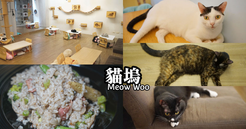 【中原大學寵物餐廳推薦】柏德社區內貓咪咖啡廳 不限時飲料無限暢飲 貓塢 Meow Woo 貓咪咖啡館 【中原大學寵物餐廳推薦】柏德社區內貓咪咖啡廳 不限時飲料無限暢飲 貓塢 Meow Woo 貓咪咖啡館