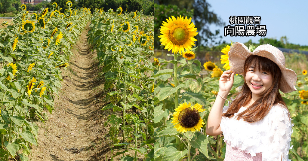 [心得] 觀音親子景點推薦 向陽農場Sun&Green