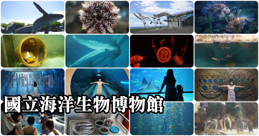 【屏東必訪親子景點推薦】海洋生物主題大型博物館 國立海洋生物博物館-海生館 【屏東必訪親子景點推薦】海洋生物主題大型博物館 國立海洋生物博物館-海生館