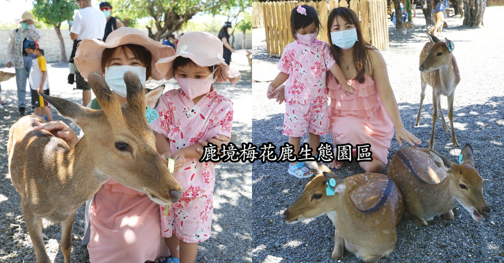 【屏東恆春親子景點推薦】台版小奈良餵鹿趣 零距離觸摸超萌梅花鹿 鹿境梅花鹿生態園區 【屏東恆春親子景點推薦】台版小奈良餵鹿趣 零距離觸摸超萌梅花鹿 鹿境梅花鹿生態園區