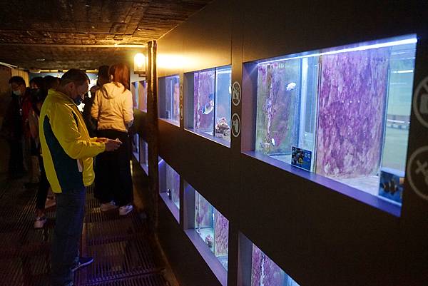 【花蓮免費景點推薦】整合花蓮在地海洋生態教育與黑金產業文化 七星柴魚博物館