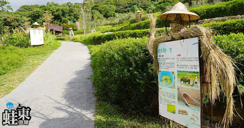 [旅遊] 大檜溪農村梯田生態 大有梯田生態公園