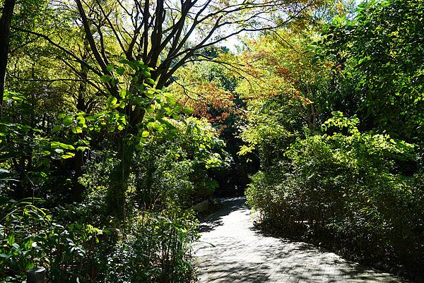 【台北圓山免費景點推薦】百藝廣場閩式建築群 昨日世界萬里長城 花博公園圓山園區