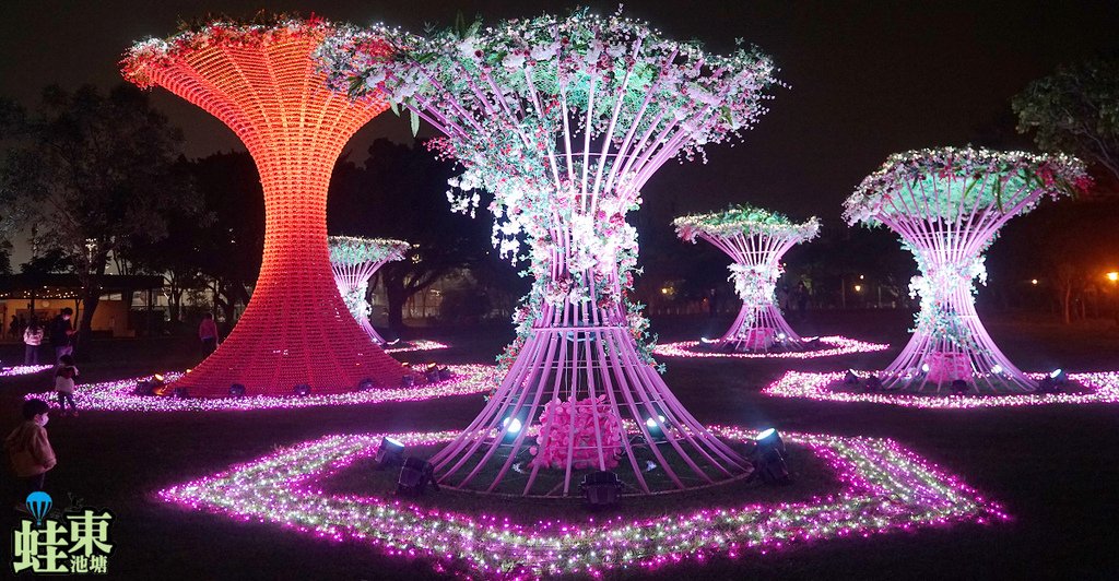 [心得] 2022桃園燈會「光之桃花源」
