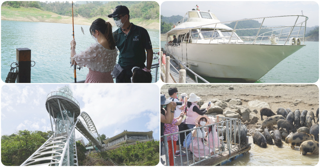 【台南激推親子景點】曾文水庫搭船趣 山豬島餵山豬 釣魚平台老鷹捕食秀 【台南激推親子景點】曾文水庫搭船趣 山豬島餵山豬 釣魚平台老鷹捕食秀
