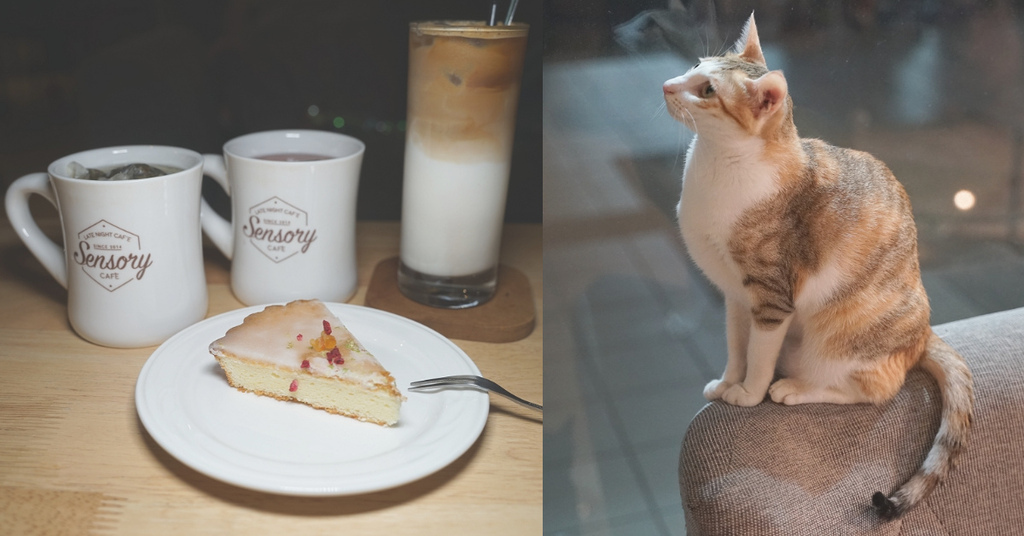 [食記] 營業至凌晨兩點 若木深夜貓咪咖啡廳