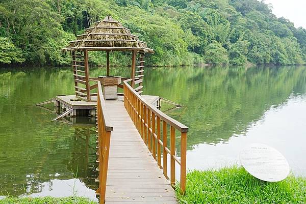 【桃園龍潭免費景點推薦】炙炙夏日玩水好去處 三坑鐵馬自行車道 三坑自然生態公園