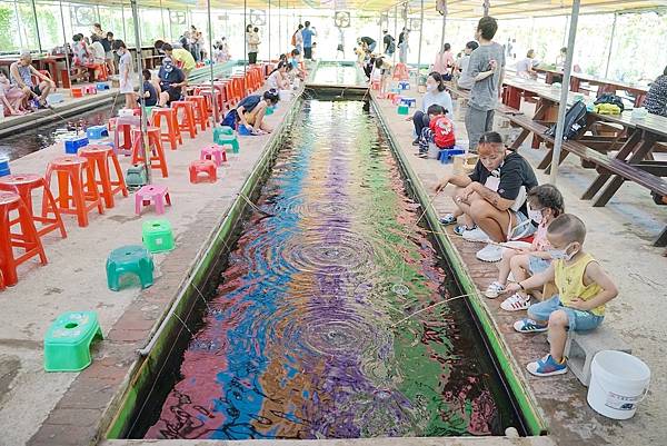 【桃園親子景點推薦】田園體驗餵可愛小動物 撈魚釣蝦親子同樂 陽榮休閒農場