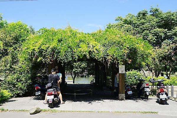 【桃園龍潭玩水景點推薦】巨龍造型兒童戲水區 炎炎夏日戲水趣 桃園龍潭大池兒童戲水區