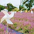 【2022桃園仙草花節】桃園12月限定景點 「仙茶之舞」紫色花海美景 11/27~12/11共15天