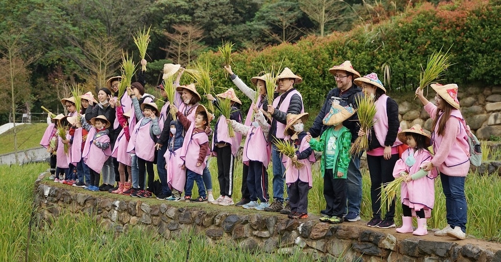 [旅遊] 都市農夫稻穗收割體驗 大有梯田生態公園