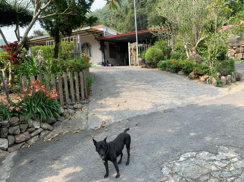 南投縣國姓鄉阿冷坑私房客家食記料理 阿宗師的總舖無菜單料理 梅干扣肉篇 Q比媽的部落格 痞客邦