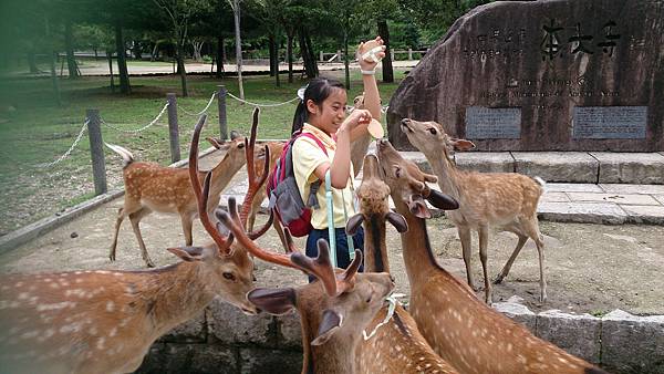 奈良公園